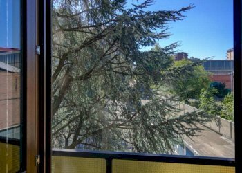 Stable - Palace Collegno - photo 33