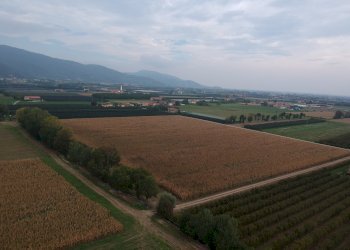 Rustic Via Monastero, Dronero - photo 19