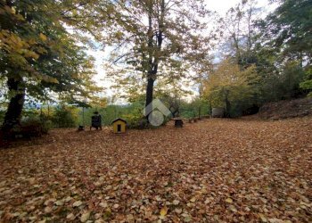 Stabile - Palazzo Via Ciola Castello, Mercato Saraceno - foto 6