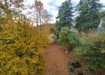 Stabile - Palazzo Via Ciola Castello, Mercato Saraceno - foto 7