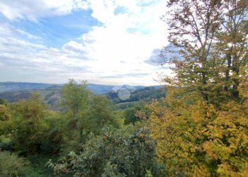 Stabile - Palazzo Via Ciola Castello, Mercato Saraceno - foto 8