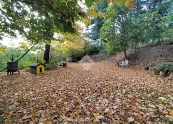 Stabile - Palazzo Via Ciola Castello, Mercato Saraceno - foto 9
