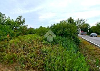 Rustico Frazione Sacca, Colorno - foto 35