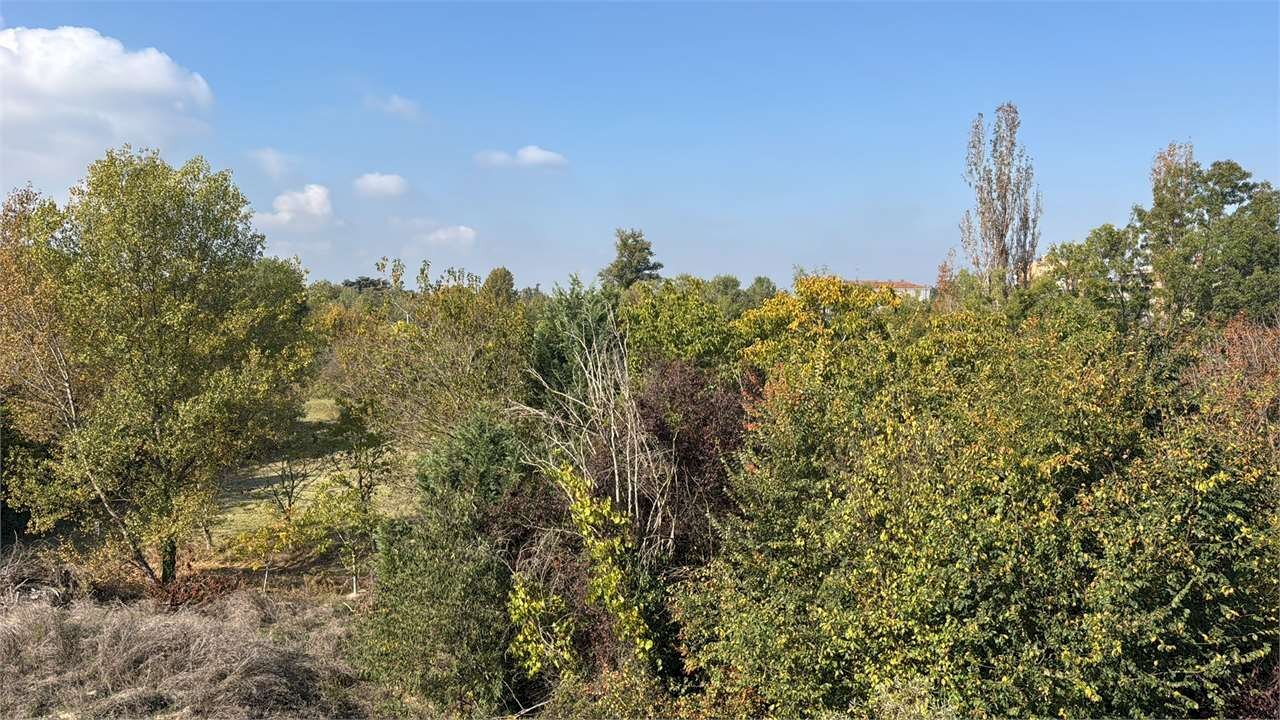 Attico Modena (zona Circoscrizione 1) - foto 3