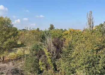 Attico Modena (zona Circoscrizione 1) - foto 3