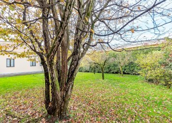 Villa Via Grancia, frazione Grancia, Lainate - foto 35