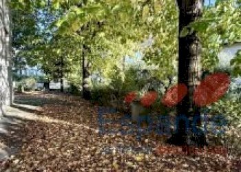 Casa indipendente Cesena - foto 10