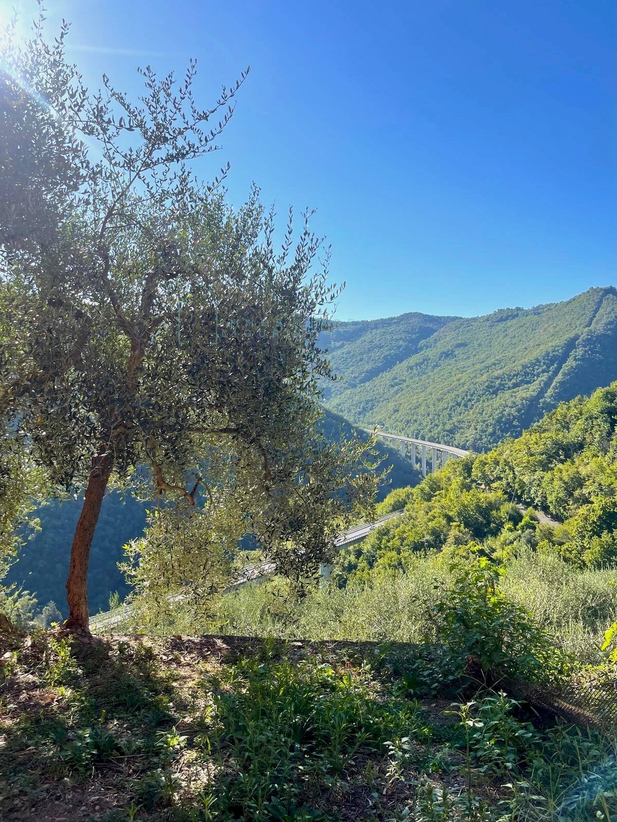 Foto 1 - Rustico Via la posta 12, Pieve di Teco - foto 1