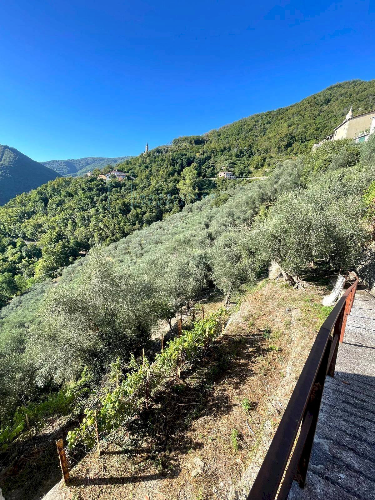 Foto 2 - Rustico Via la posta 12, Pieve di Teco - foto 2