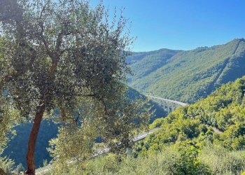 Foto 1 - Rustico Via la posta 12, Pieve di Teco - foto 1