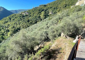 Foto 2 - Rustico Via la posta 12, Pieve di Teco - foto 2