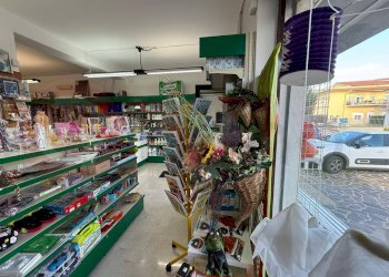 Foto 12 - Locale Commerciale Via Rivolta
30, Roccasecca - foto 12