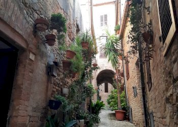 Foto 5 - Casa indipendente via Fiume
 
3, Fermo - foto 5