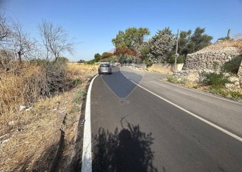 Non correlato - Agricultural land Strada Complanare Ovest
snc, Bari - photo 4