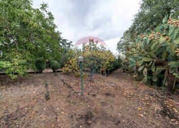 Giardino - Casa indipendente Caporale Mario Di Pasquale
 
13, Randazzo - foto 14