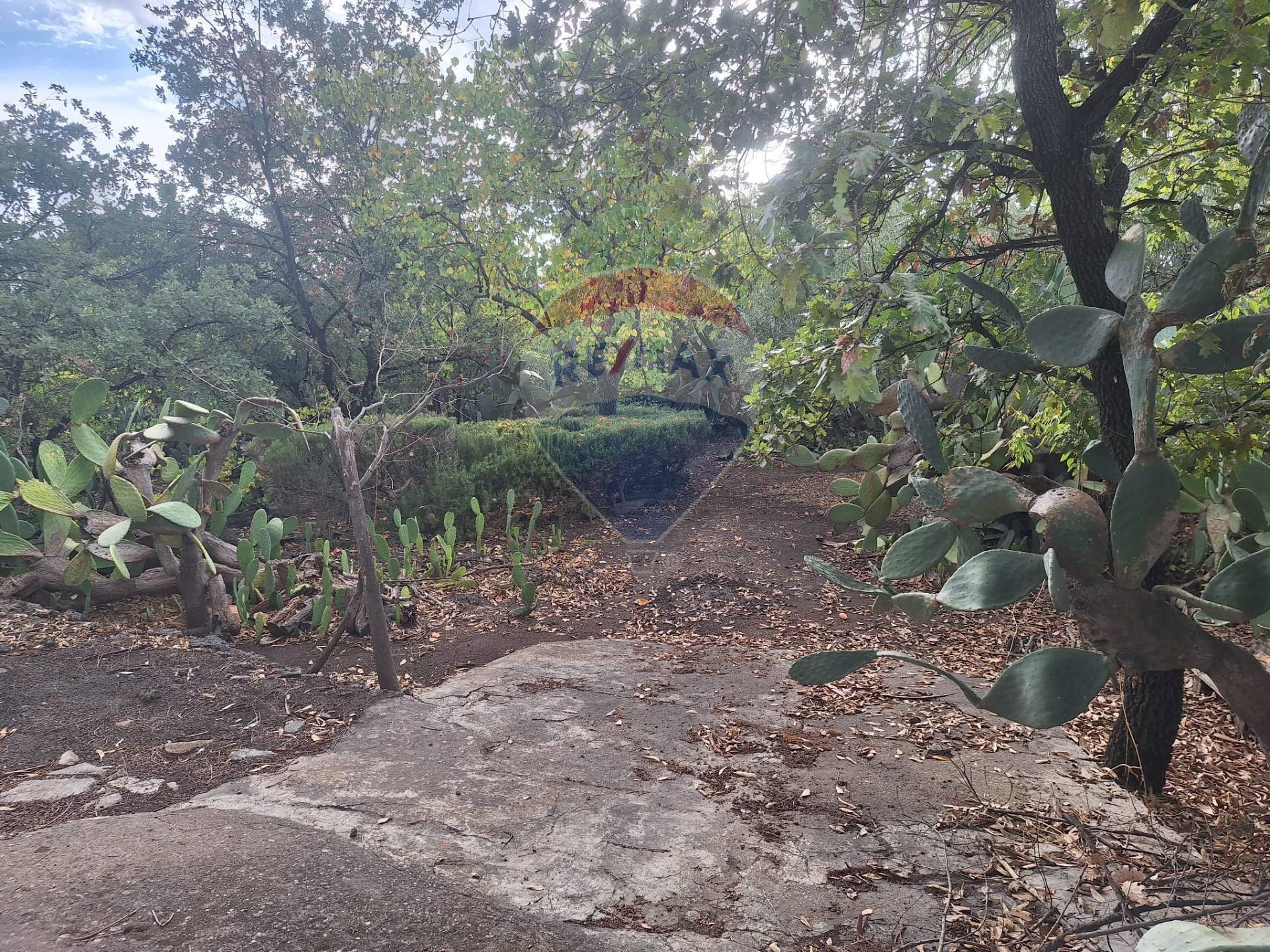 Giardino - Terreno agricolo via v traversa c.da altarello
 
190, Belpasso - foto 1