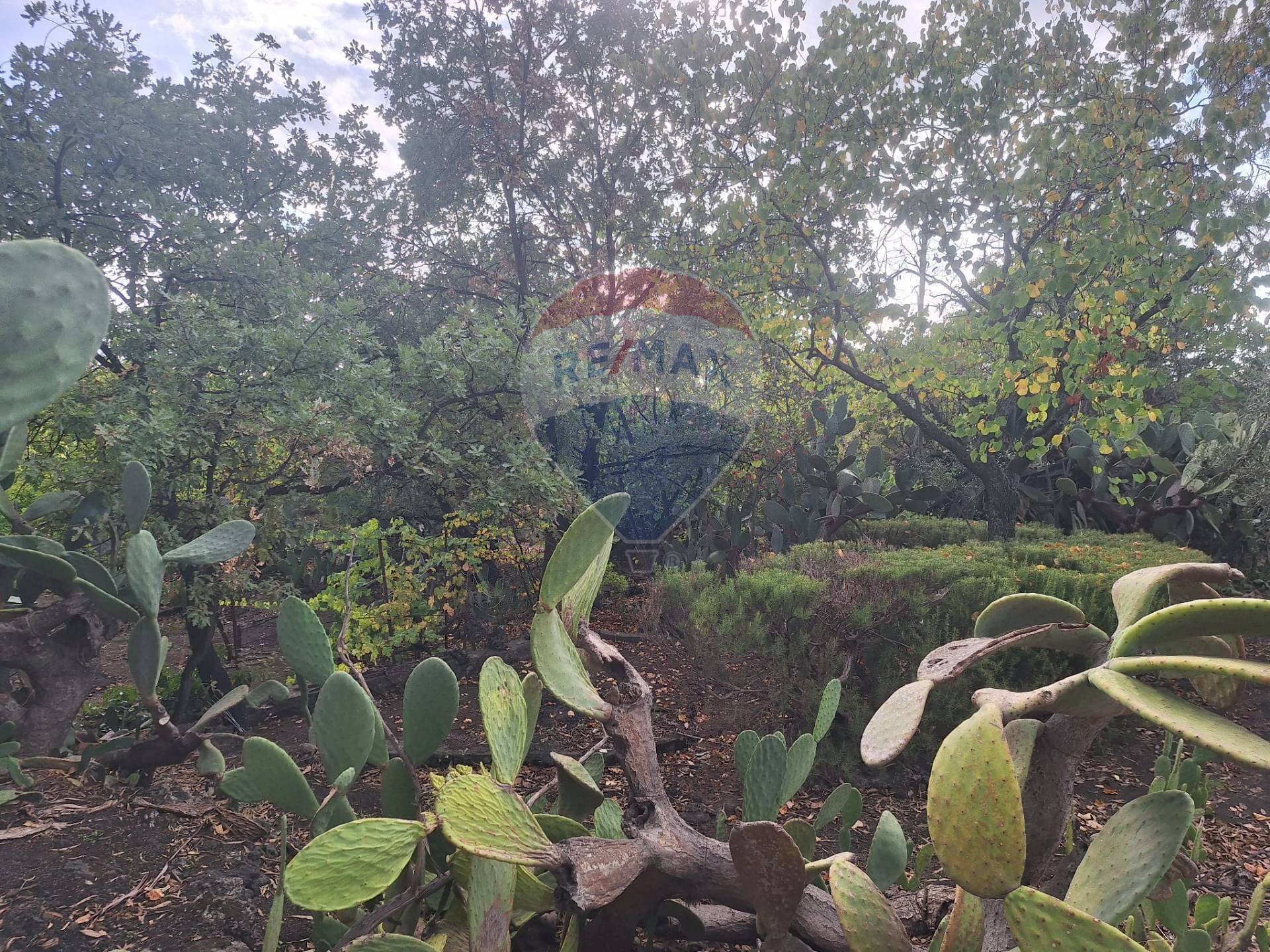 Giardino - Terreno agricolo via v traversa c.da altarello
 
190, Belpasso - foto 2