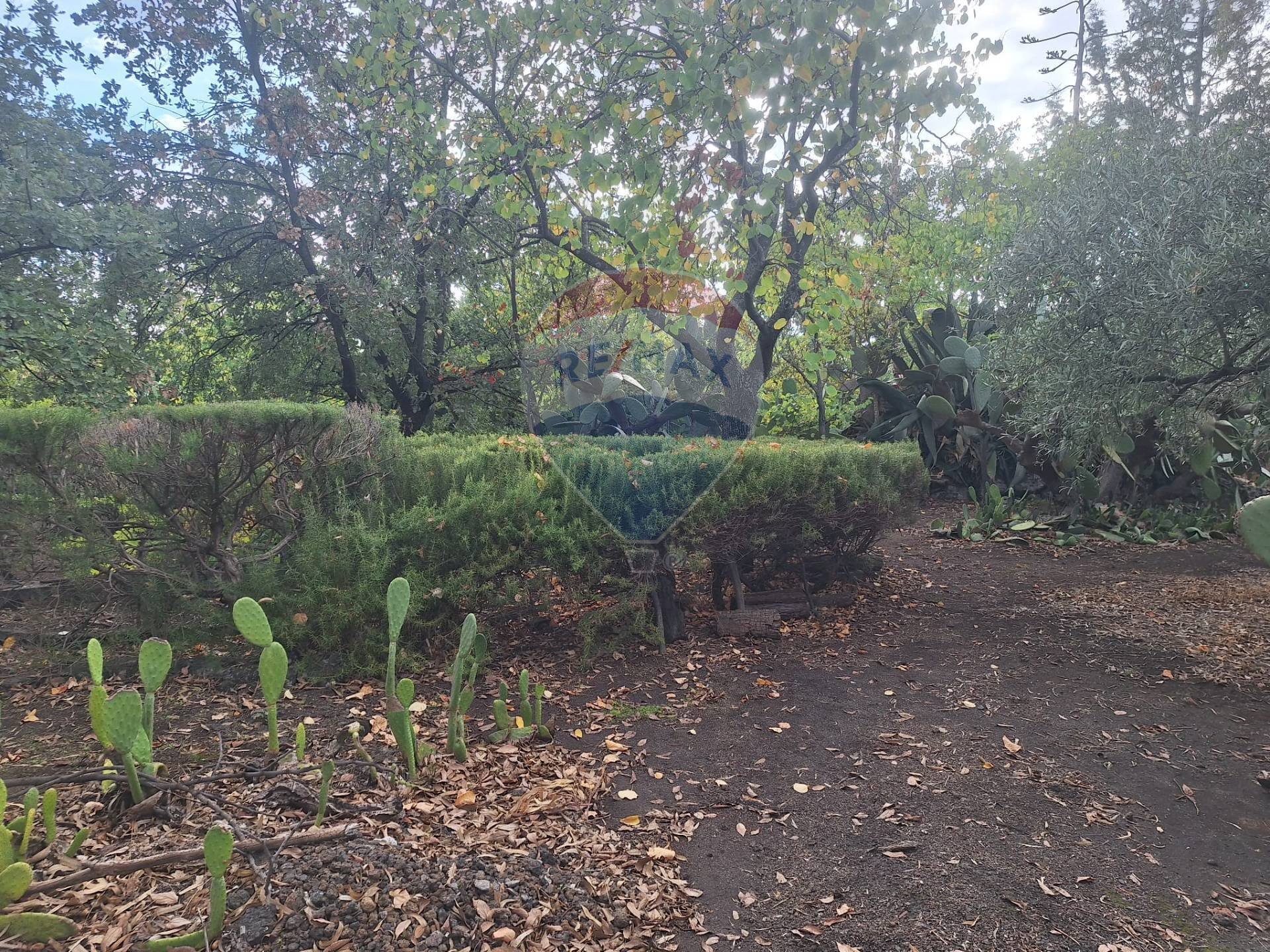 Giardino - Terreno agricolo via v traversa c.da altarello
 
190, Belpasso - foto 3