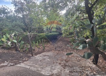 Giardino - Terreno agricolo via v traversa c.da altarello
 
190, Belpasso - foto 1