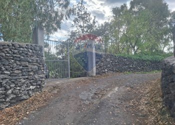 Giardino - Terreno agricolo via v traversa c.da altarello
 
190, Belpasso - foto 5