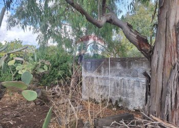 Giardino - Terreno agricolo via v traversa c.da altarello
 
190, Belpasso - foto 8