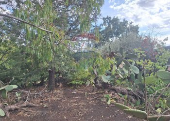 Giardino - Terreno agricolo via v traversa c.da altarello
 
190, Belpasso - foto 9