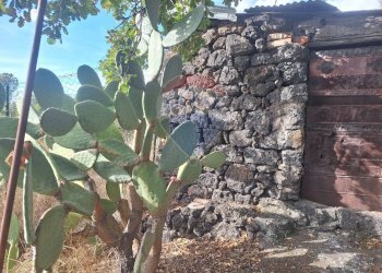 Non correlato - Terreno agricolo via v traversa c.da altarello
 
190, Belpasso - foto 10