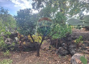 Giardino - Terreno agricolo via v traversa c.da altarello
 
190, Belpasso - foto 11