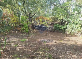 Giardino - Terreno agricolo via v traversa c.da altarello
 
190, Belpasso - foto 20