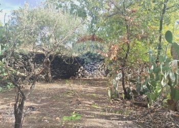 Giardino - Terreno agricolo via v traversa c.da altarello
 
190, Belpasso - foto 21