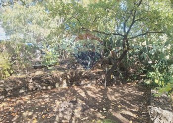 Giardino - Terreno agricolo via v traversa c.da altarello
 
190, Belpasso - foto 25