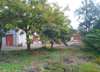 Giardino - Capannone via str. 61
 
5, Giarre - foto 6