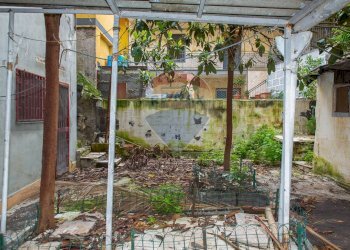 Giardino - Casa indipendente Via Fratelli D'Antoni
 
78, Catania - foto 13