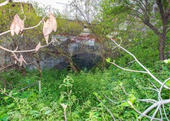 Giardino - Casa indipendente Via Fratelli D'Antoni
 
78, Catania - foto 20