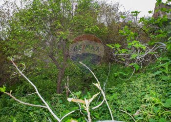 Giardino - Casa indipendente Via Fratelli D'Antoni
 
78, Catania - foto 21