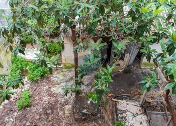 Giardino - Casa indipendente Via Fratelli D'Antoni
 
78, Catania - foto 30