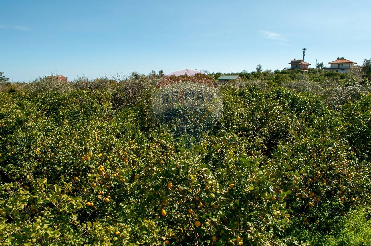 Non correlato - Agricultural land Via Torrente Vallonazzo
 
s.n.c., Mascali - photo 3
