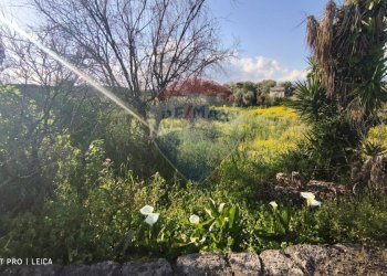 Giardino - Rustic Via delle Vigne e Mangione
 
snc, Misterbianco - photo 6