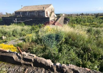 Giardino - Rustic Via delle Vigne e Mangione
 
snc, Misterbianco - photo 14