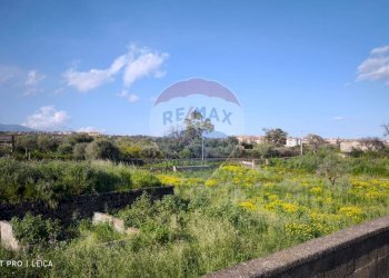 Giardino - Rustic Via delle Vigne e Mangione
 
snc, Misterbianco - photo 27