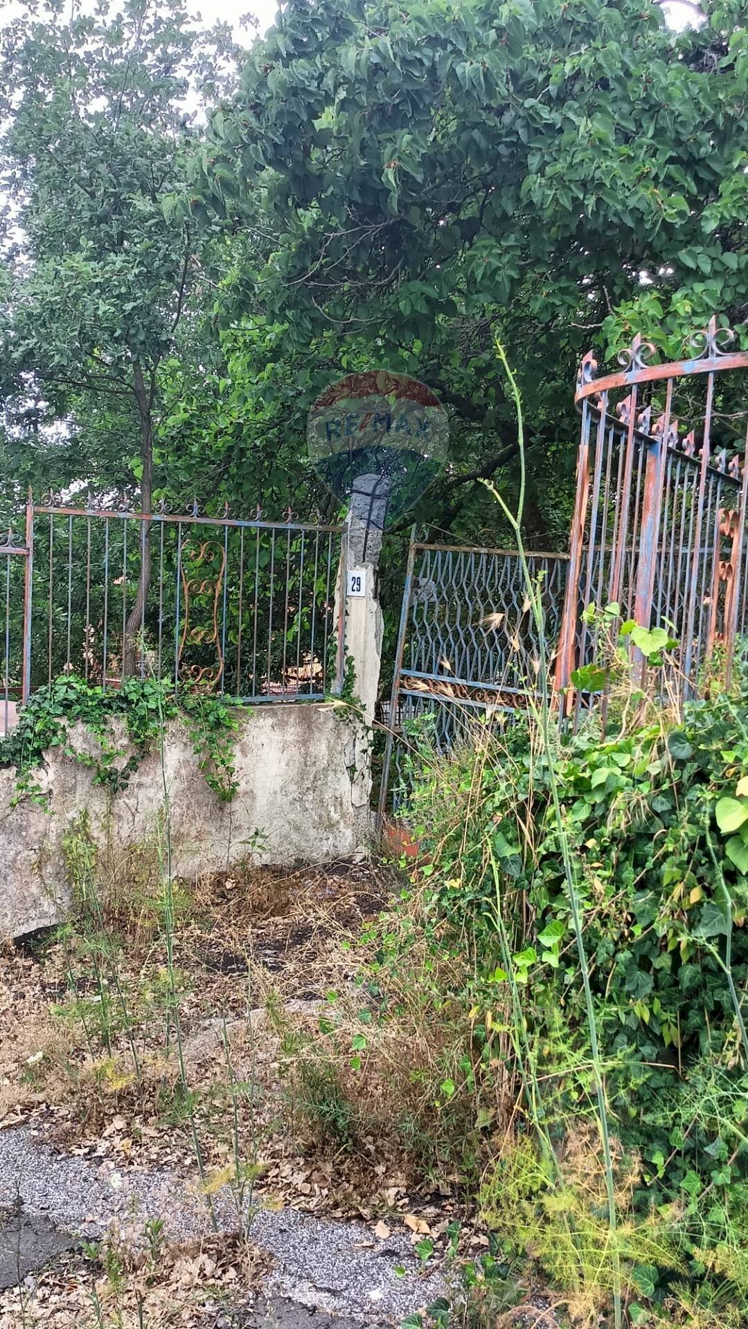 Giardino - Agricultural land via michelangelo buonarroti
29, Pedara - photo 3