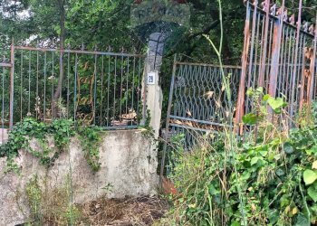 Giardino - Agricultural land via michelangelo buonarroti
 
29, Pedara - photo 3