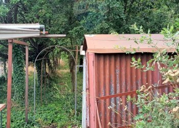 Giardino - Agricultural land via michelangelo buonarroti
 
29, Pedara - photo 6