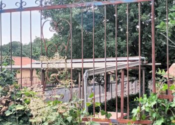 Giardino - Agricultural land via michelangelo buonarroti
 
29, Pedara - photo 7