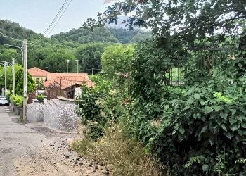 Giardino - Agricultural land via michelangelo buonarroti
 
29, Pedara - photo 8