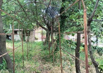 Giardino - Agricultural land via michelangelo buonarroti
 
29, Pedara - photo 9