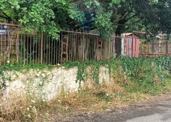 Giardino - Agricultural land via michelangelo buonarroti
 
29, Pedara - photo 11