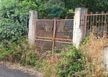 Giardino - Agricultural land via michelangelo buonarroti
 
29, Pedara - photo 12