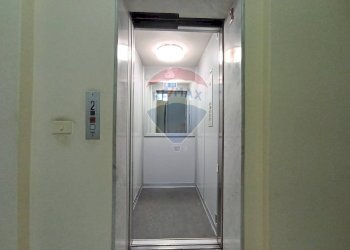 Hall / corridoio - Quadrilocale Viale dei Platani
 
36, Paterno - foto 34