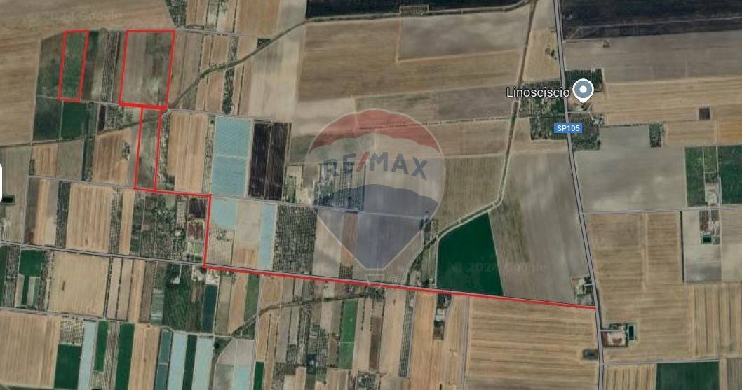 terreno - Terreno agricolo Strada Provinciale 105, Foggia - foto 2